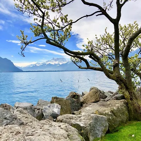 Appartement Lake View